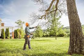 Best Tree Maintenance Programs  in Seaside, CA