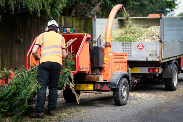 Best Hazardous Tree Removal  in Seaside, CA