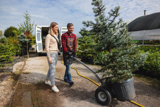 Best Tree and Shrub Care  in Seaside, CA